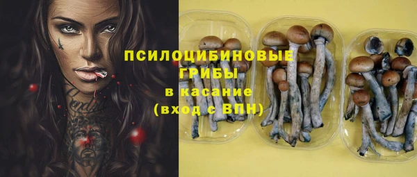 ALPHA PVP Елизово