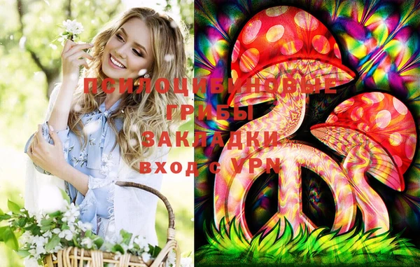 ALPHA PVP Елизово