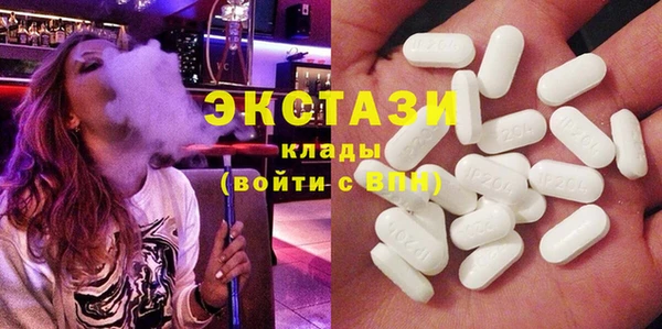 МДПВ Ельня