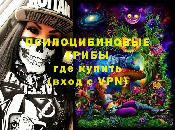 2c-b Елабуга
