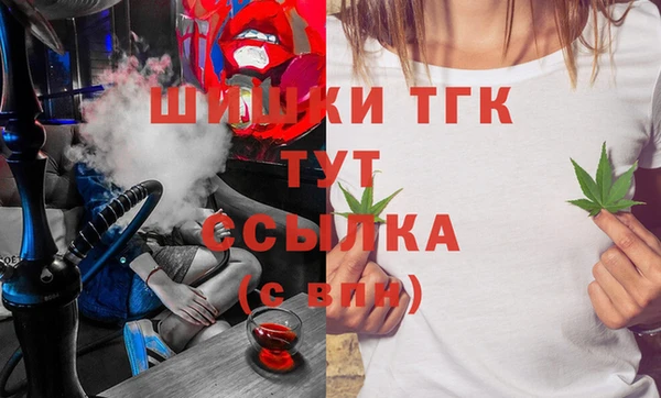 МДПВ Ельня
