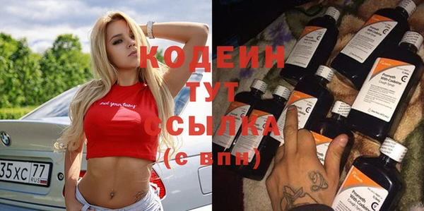 МДПВ Ельня