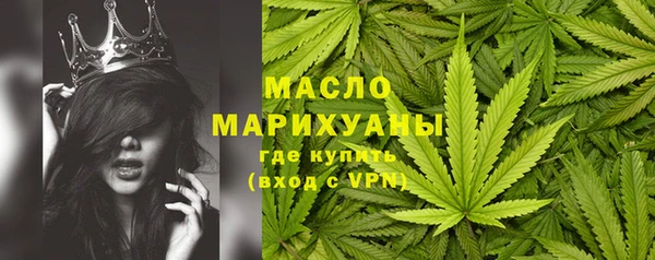 ALPHA PVP Елизово