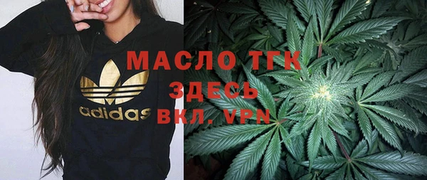 МДПВ Ельня