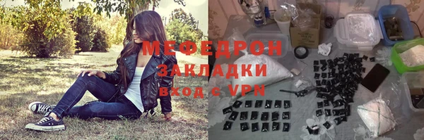МДПВ Ельня