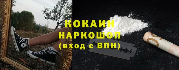 МДПВ Ельня