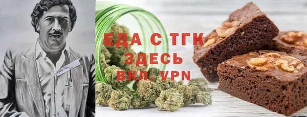 МДПВ Ельня
