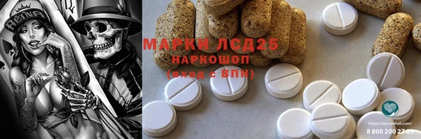 МДПВ Ельня